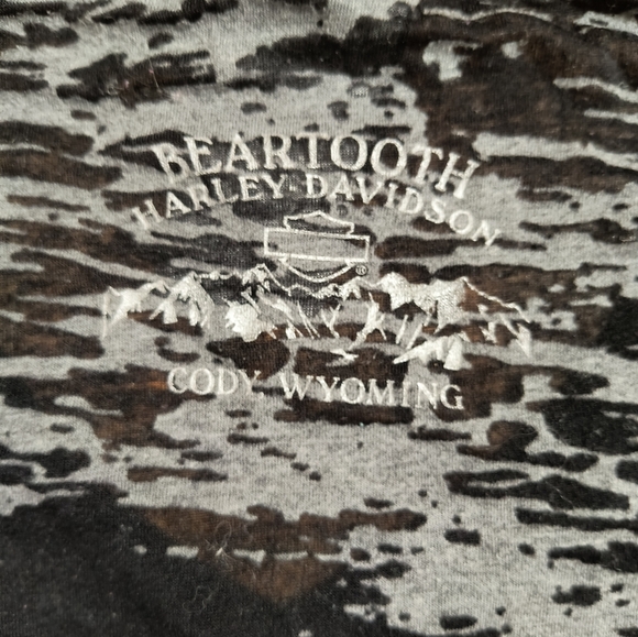 3/$10⭐ Harley Davidson v-neck t-shirt, women's small, black and gray - Picture 10 of 10